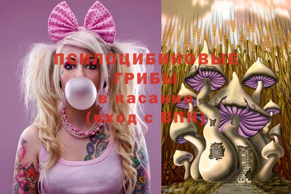 марки lsd Белокуриха