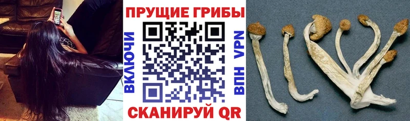 Галлюциногенные грибы мицелий  hydra ONION  Шуя  дарнет шоп 