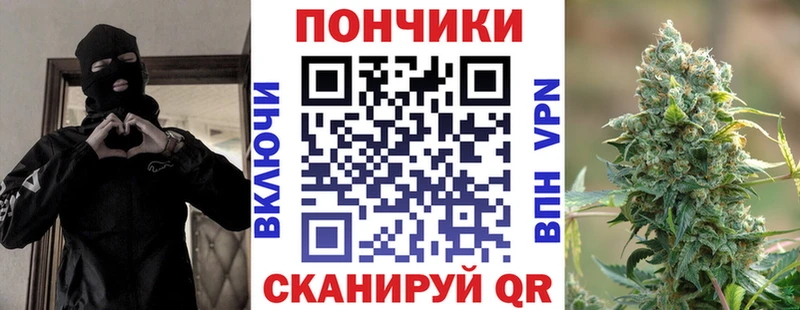 наркотики  Шуя  Канабис индика 